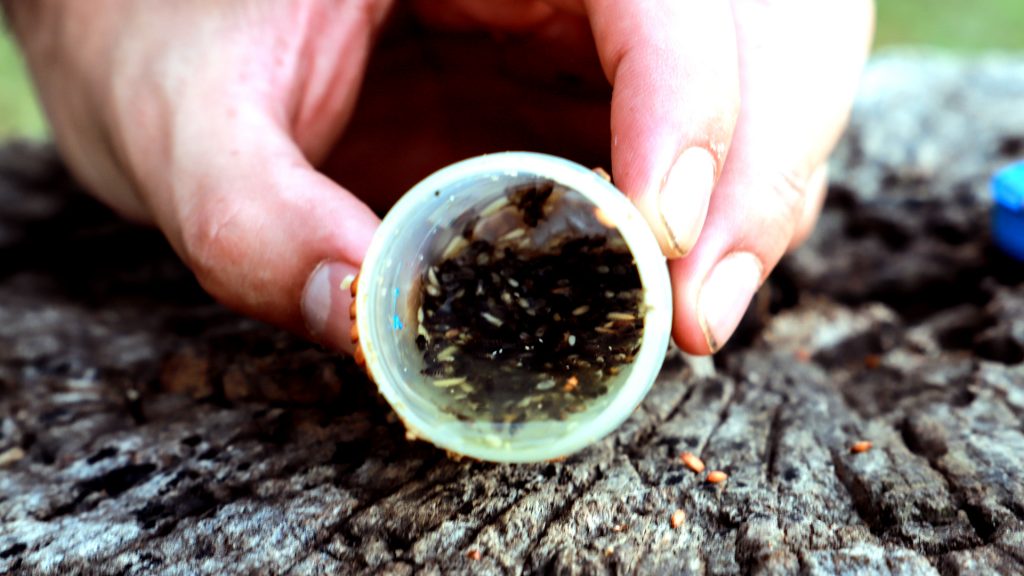 La miel de la Biodiversidad