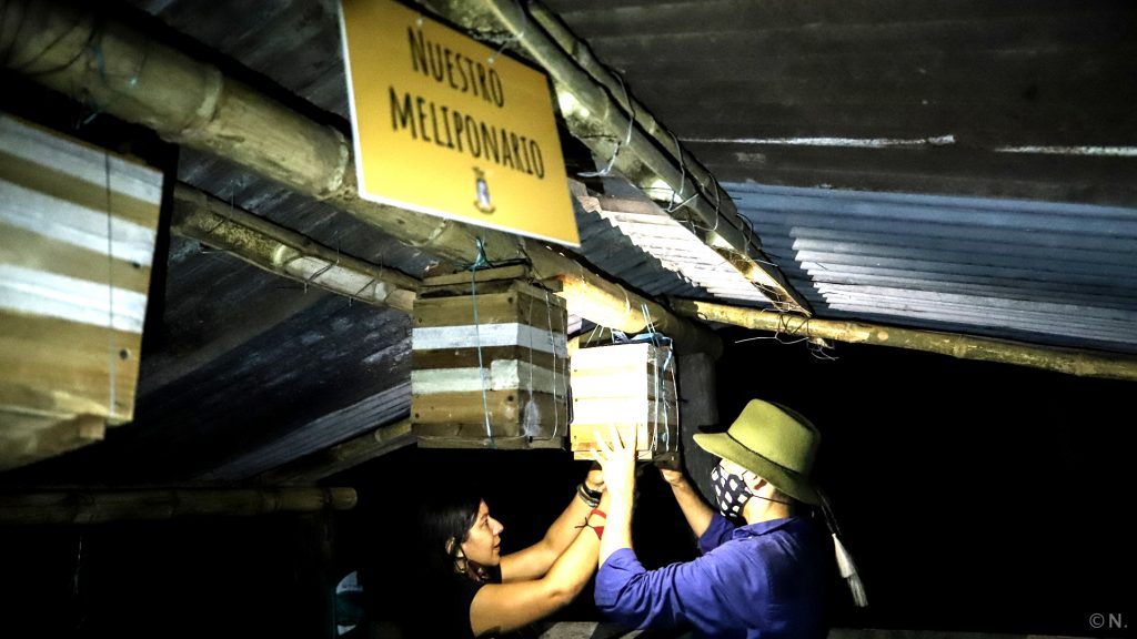 La miel de la Biodiversidad