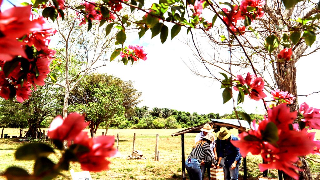La miel de la Biodiversidad