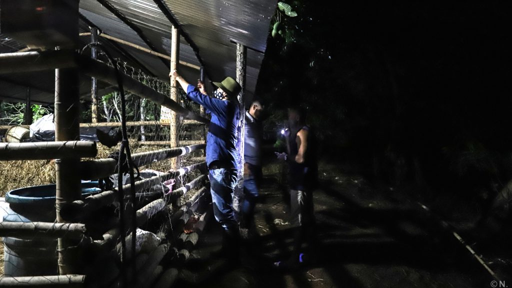 La miel de la Biodiversidad