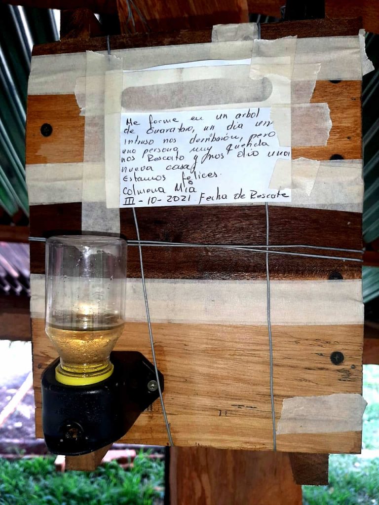 La miel de la Biodiversidad