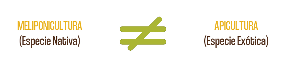 La miel de la Biodiversidad